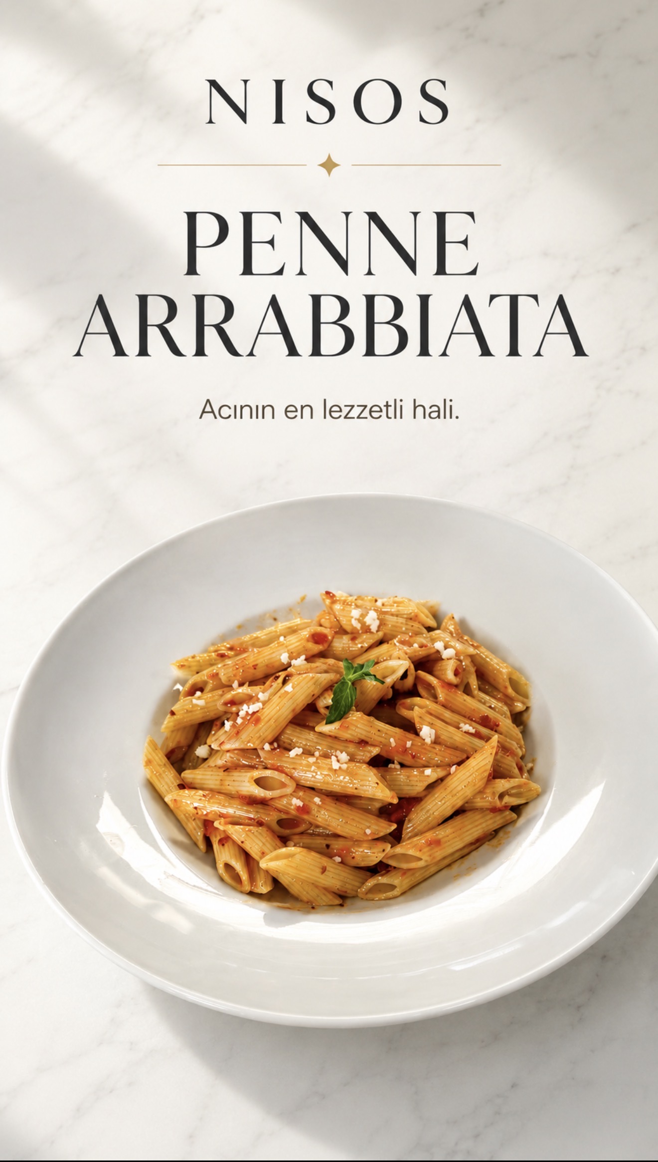 Penne Arrabiata Makarna